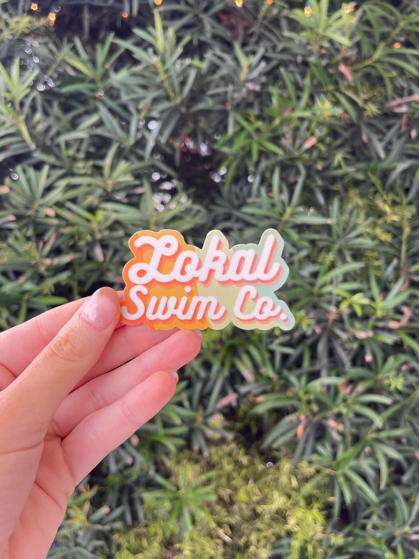 Groovy Lokal Swim Co. Sticker, photo 2 of 2