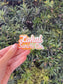 Groovy Lokal Swim Co. Sticker, photo 2 of 2