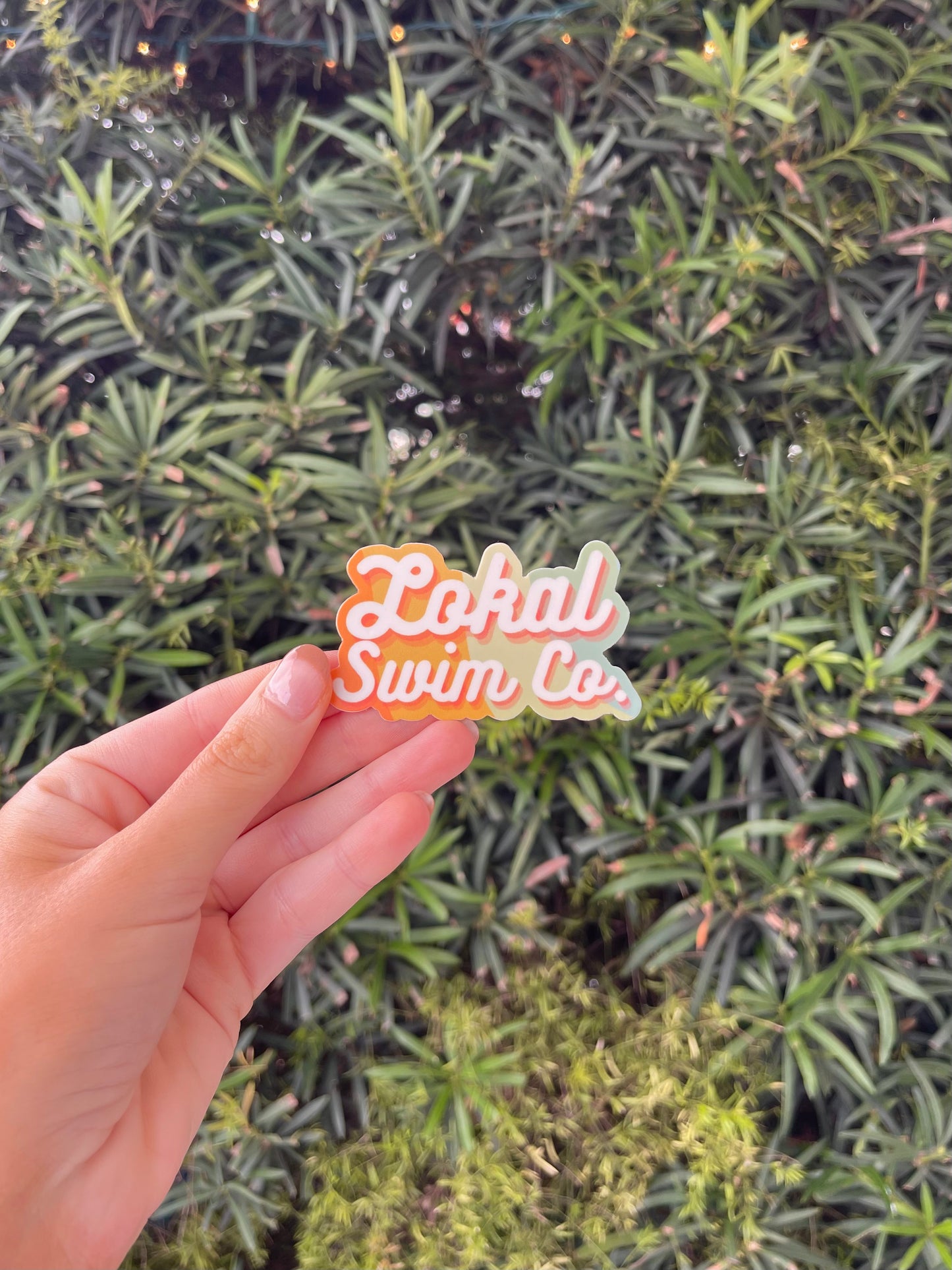 Groovy Lokal Swim Co. Sticker, photo 1 of 2
